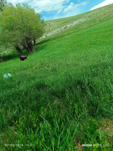 عکس بستان آباد