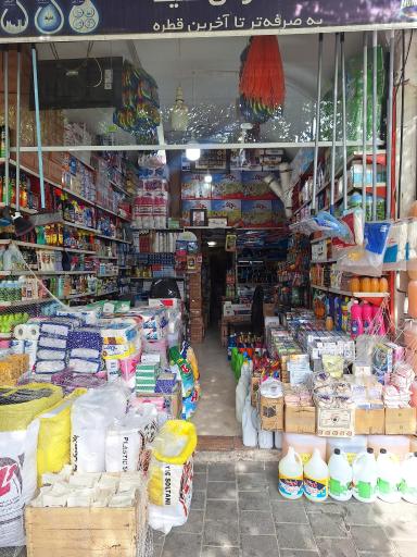 شوینده بهداشتی محمودی