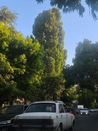 عکس بستان آباد