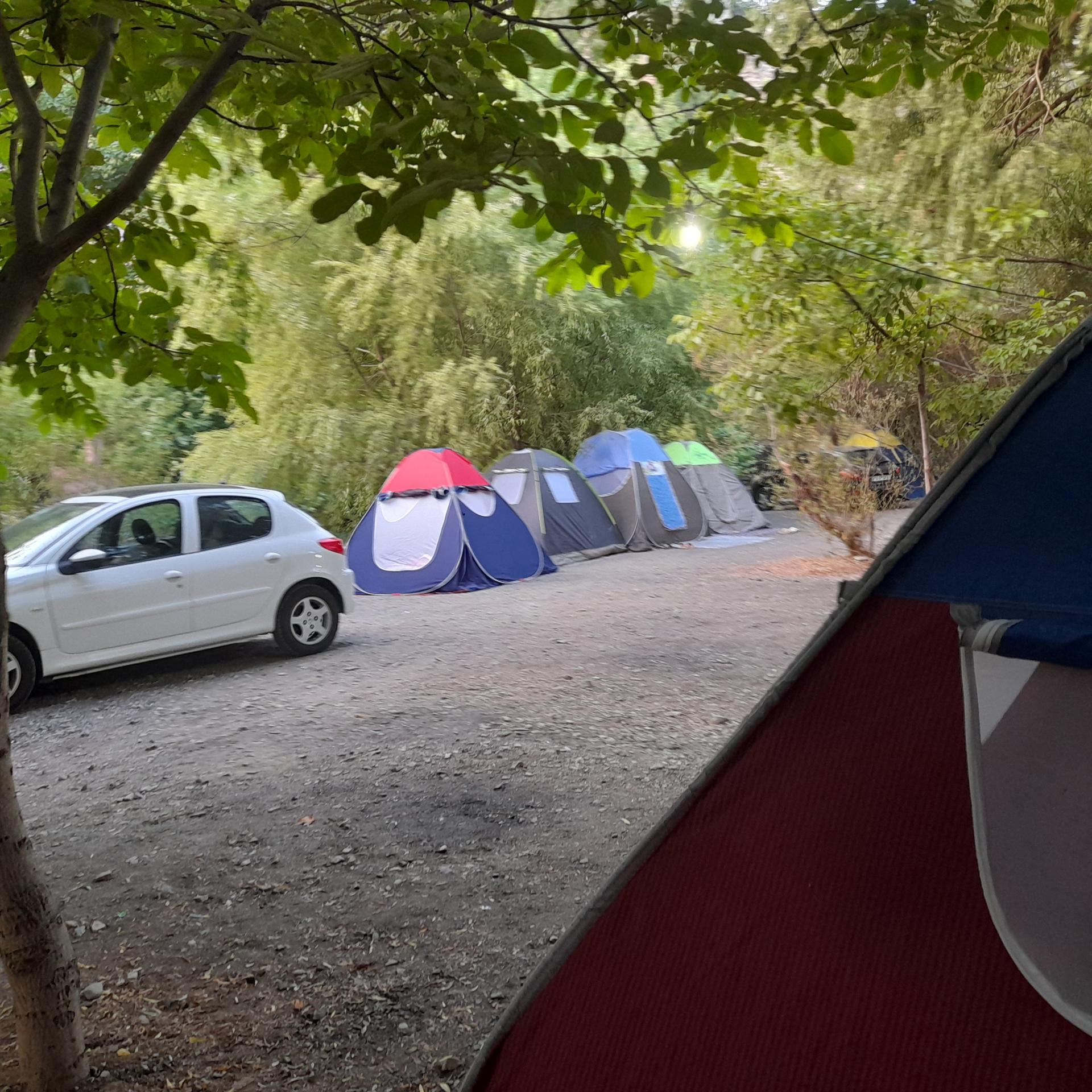 عکس باغ شکوفه ها