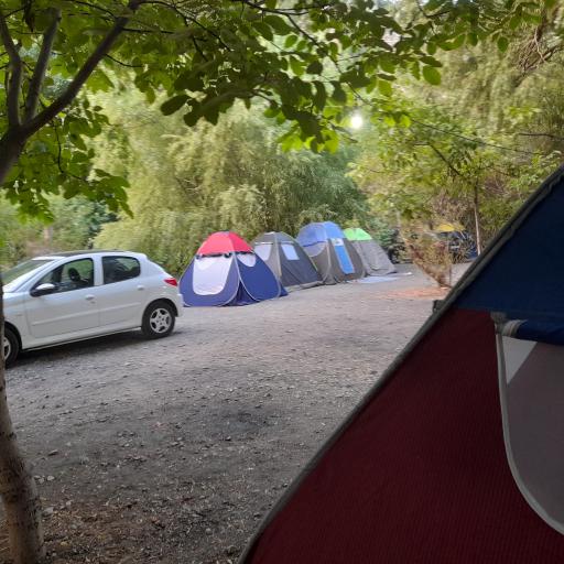 عکس باغ شکوفه ها