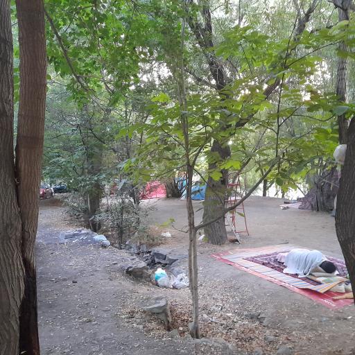 عکس باغ شکوفه ها