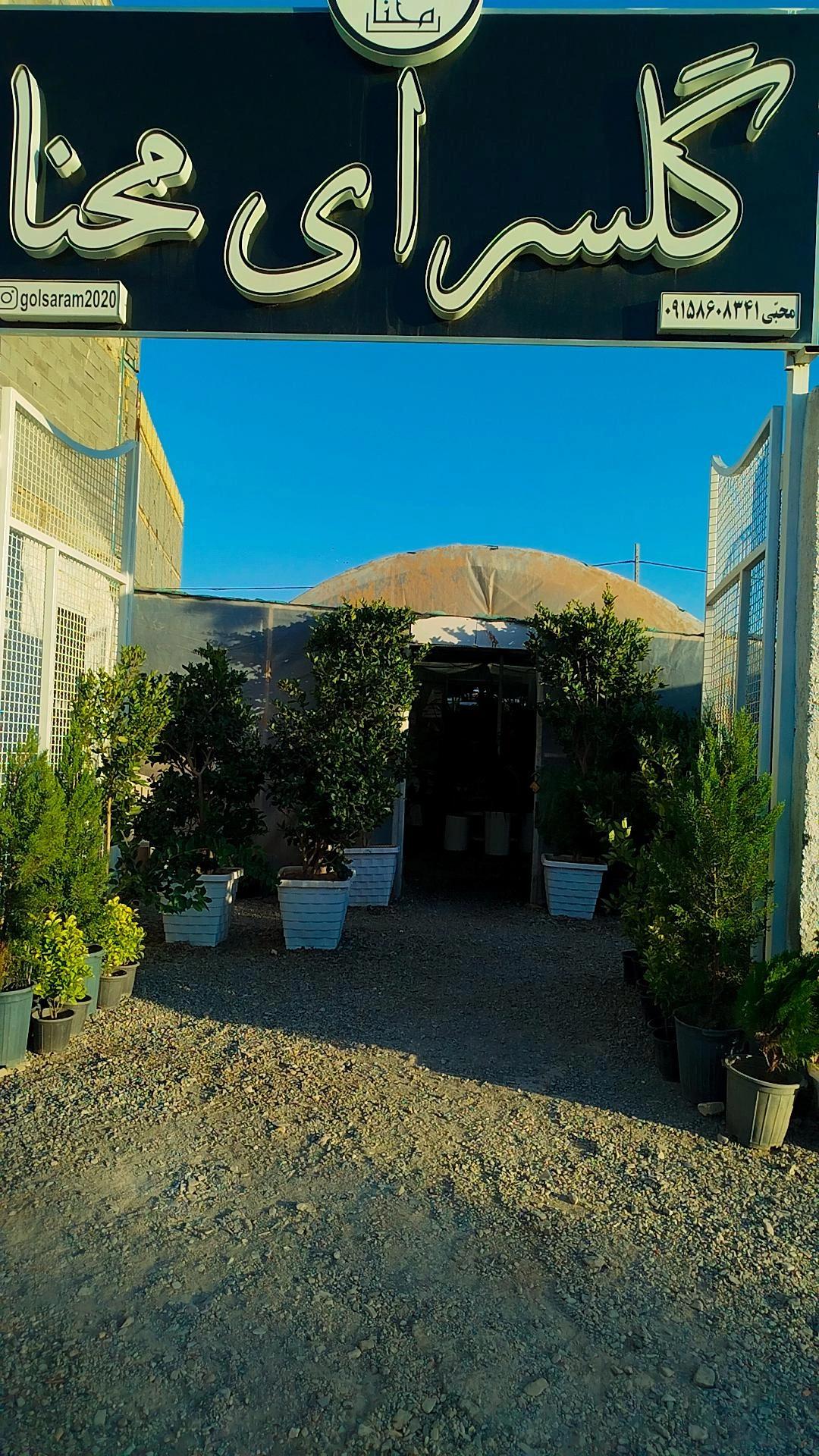 عکس گلخانه و گلسرای محنا