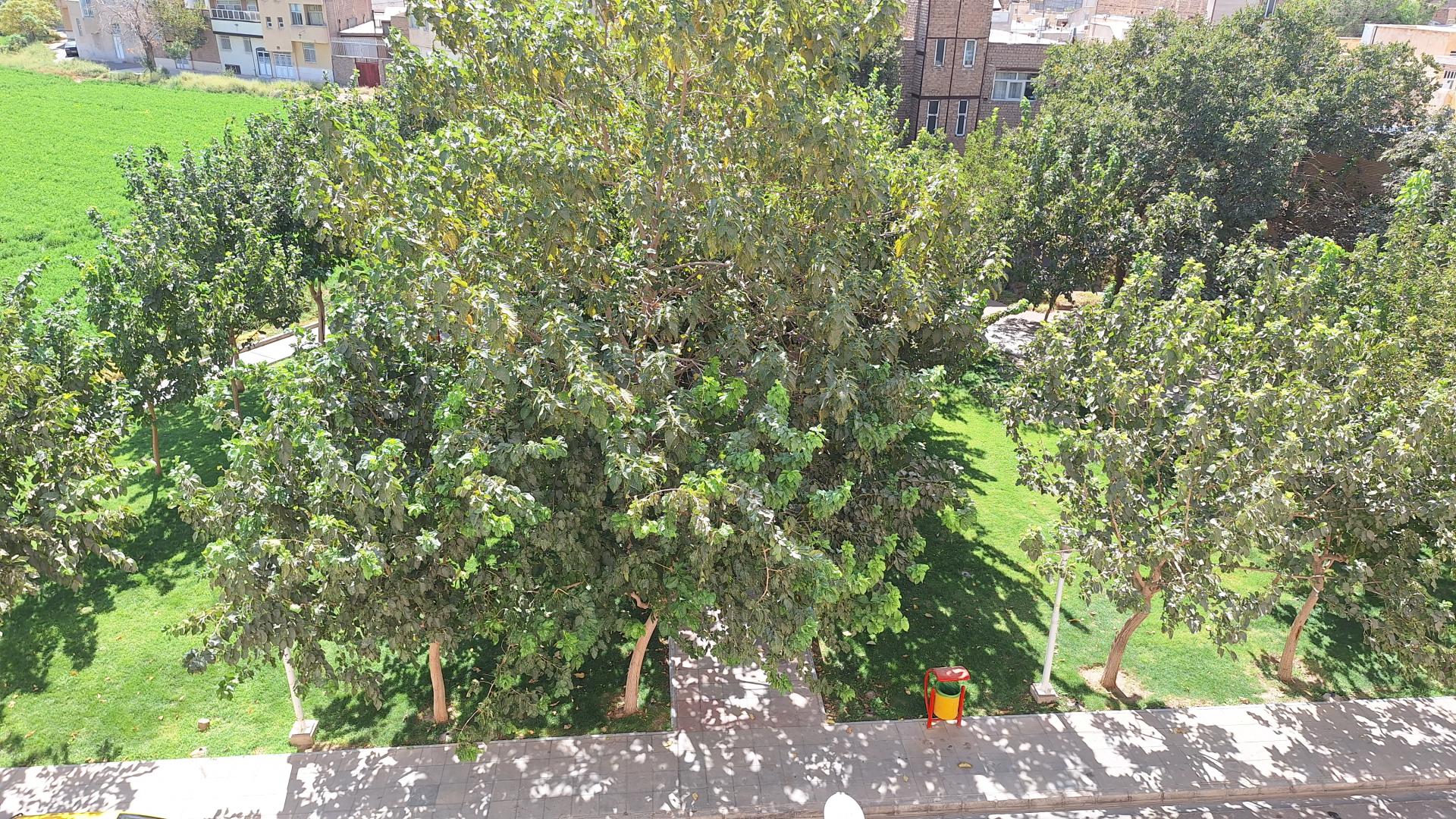 عکس بوستان محیا