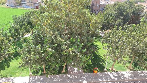 عکس بوستان رجایی 