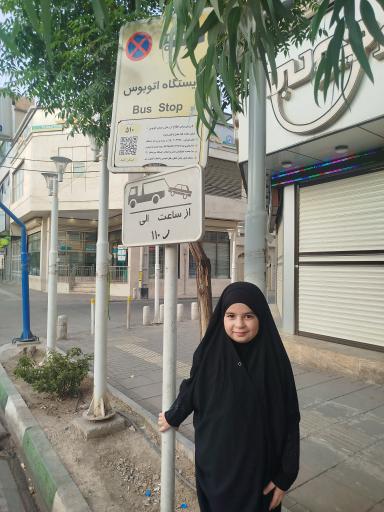 عکس 20متری امام حسین