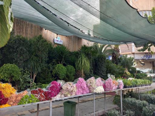 عکس نمایشگاه گل بهار