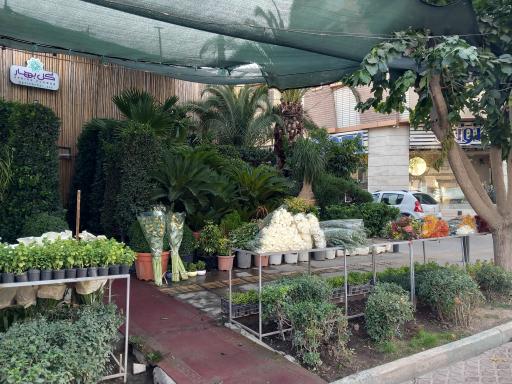 عکس نمایشگاه گل بهار