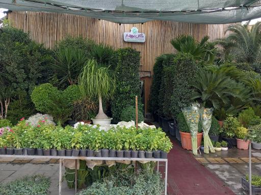 عکس نمایشگاه گل بهار