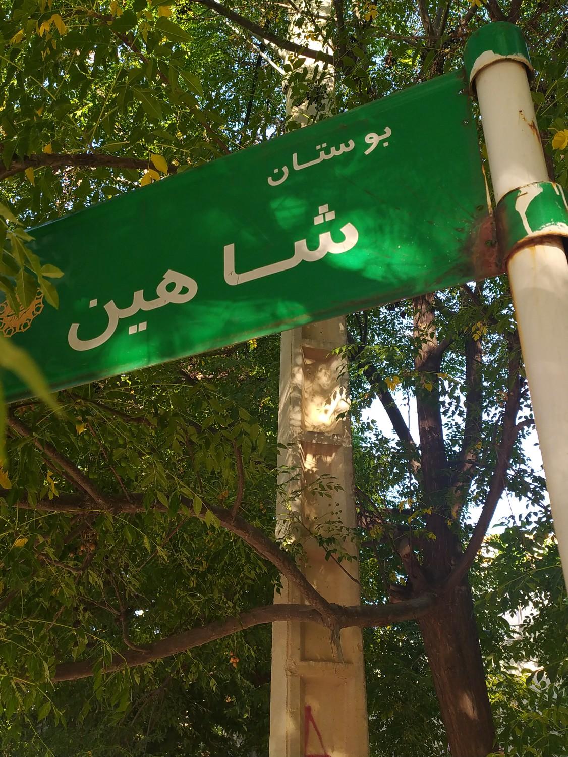 عکس پارک شاهین