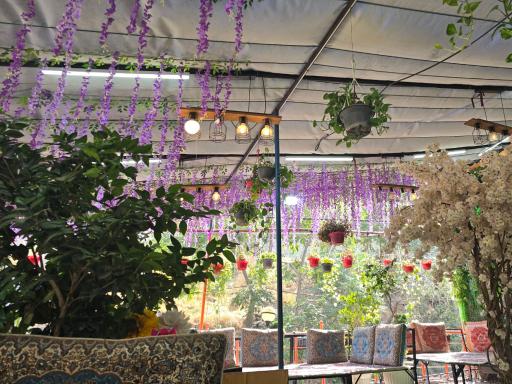 عکس رستوران کوه سنگی 2