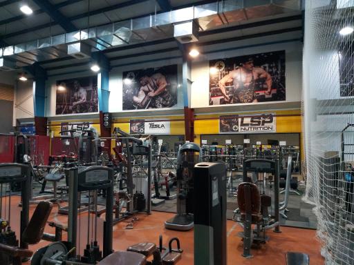 عکس باشگاه بدنسازی آرسام