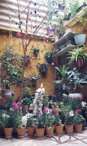 عکس کافه کوچه گالری