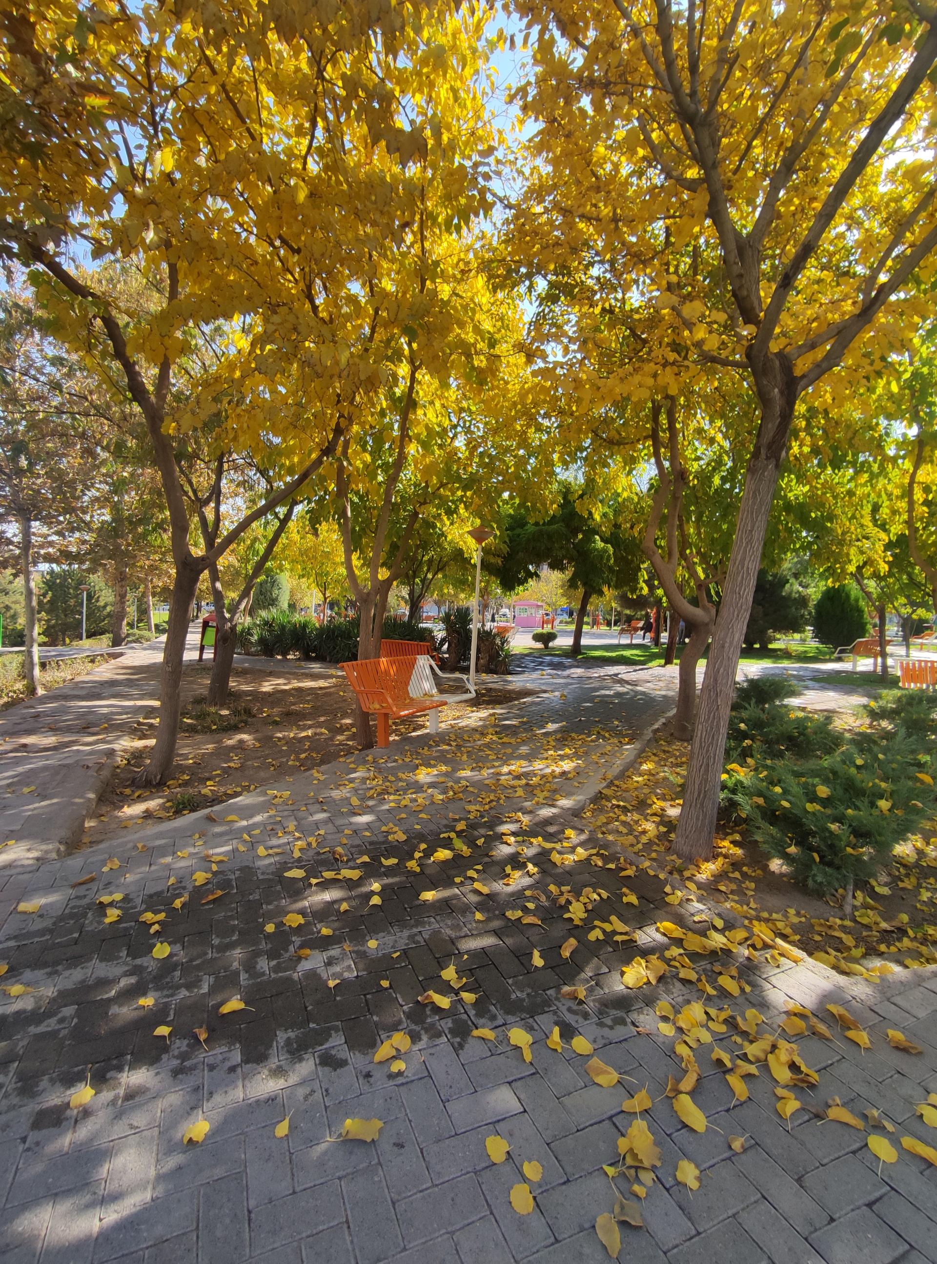 عکس بوستان سحر