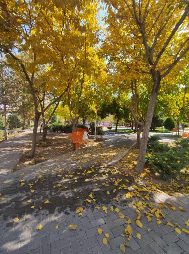 عکس بوستان سحر