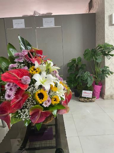 عکس آموزشگاه رانندگی نیک کمالشهر