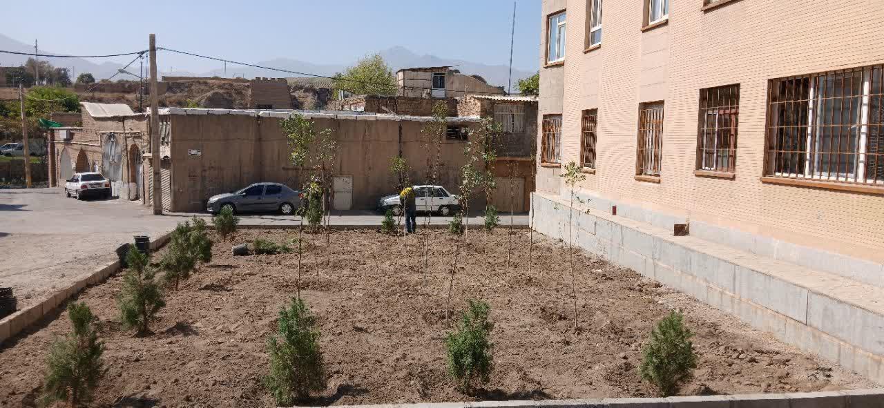 عکس بوستان شالبافان