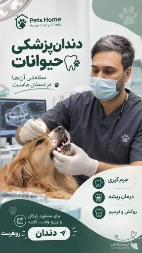عکس کلینیک اختصاصی حیوانات خانگی پتز هوم