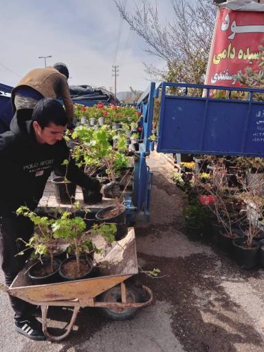 عکس نهالستان و گلستان دشت بهشت