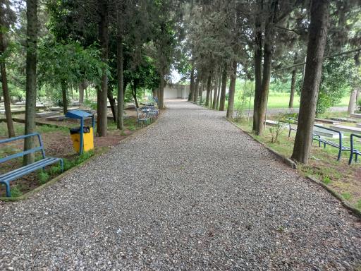 عکس گلستان جاوید چاله زمین 