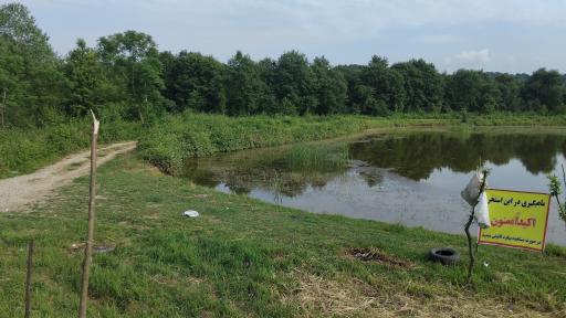 عکس استخر پرورش ماهی کاظمی