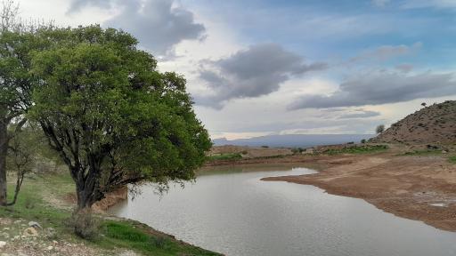 عکس فسا