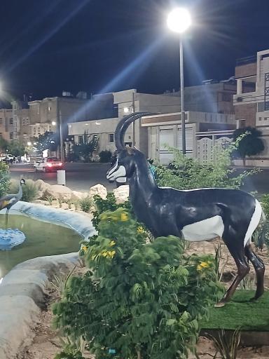 عکس فسا