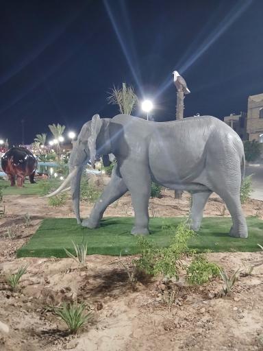 عکس فسا