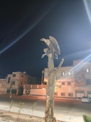 عکس فسا