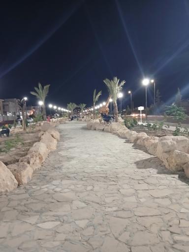 عکس فسا