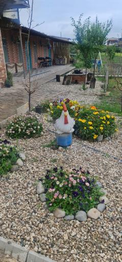 عکس مزرعه گردشگری اقامتی آفتابگردان