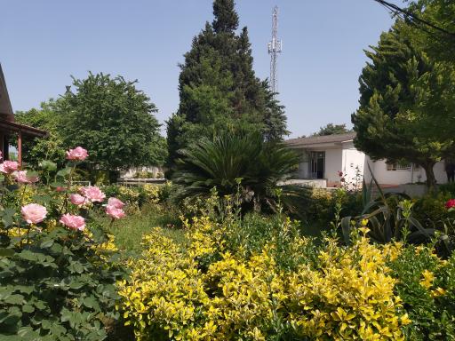 موسسه آموزش عالی تجن