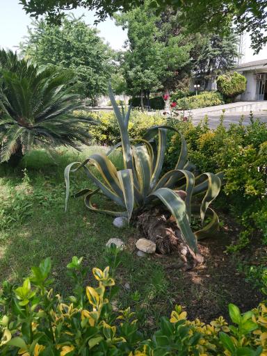 عکس موسسه آموزش عالی تجن