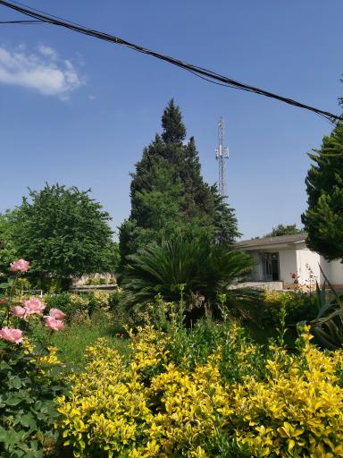 عکس موسسه آموزش عالی تجن