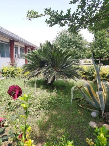 عکس موسسه آموزش عالی تجن