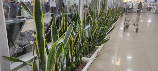 عکس فرودگاه بین المللی اهواز (شهید سپهبد قاسم سلیمانی)