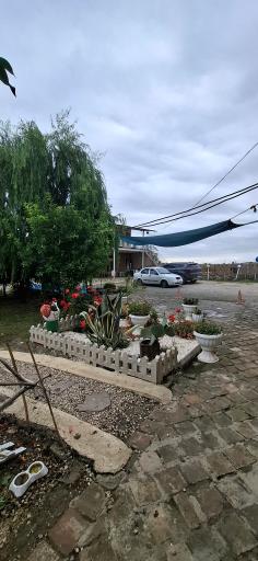 عکس مزرعه گردشگری اقامتی آفتابگردان