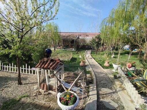 عکس مزرعه گردشگری اقامتی آفتابگردان