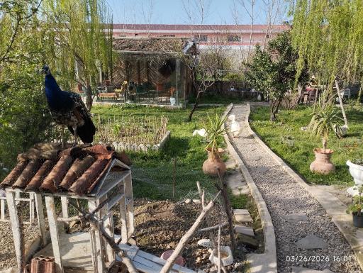 عکس مزرعه گردشگری اقامتی آفتابگردان