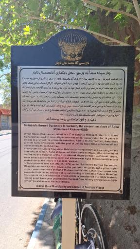 عکس چنار‌ سوخته سعید آباد