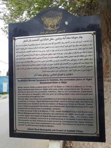 عکس چنار‌ سوخته سعید آباد