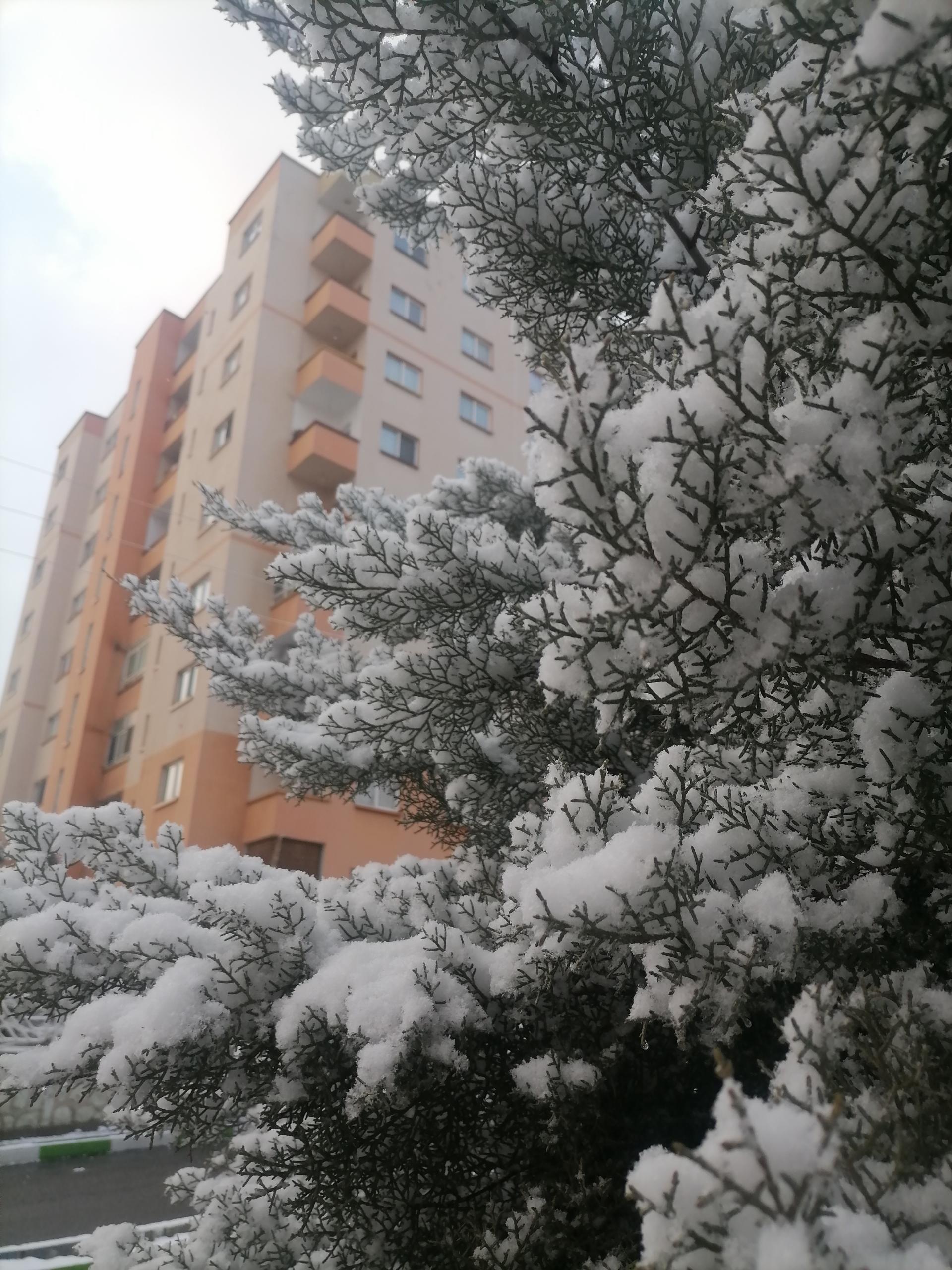 عکس مجتمع زیتون بلوک یک