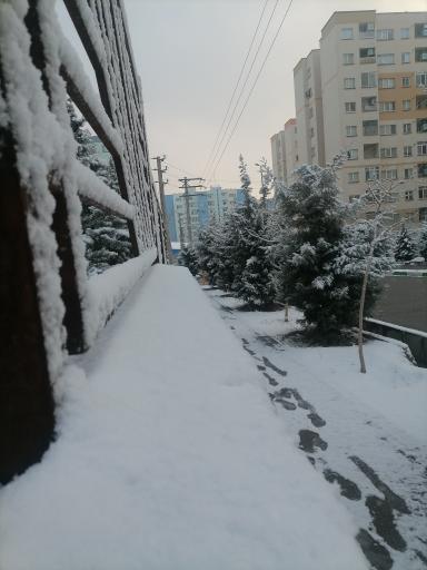 عکس مجتمع زیتون بلوک یک