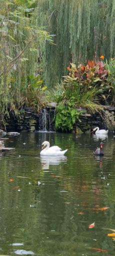 عکس عمارت قاجاریه مزرعه قوها