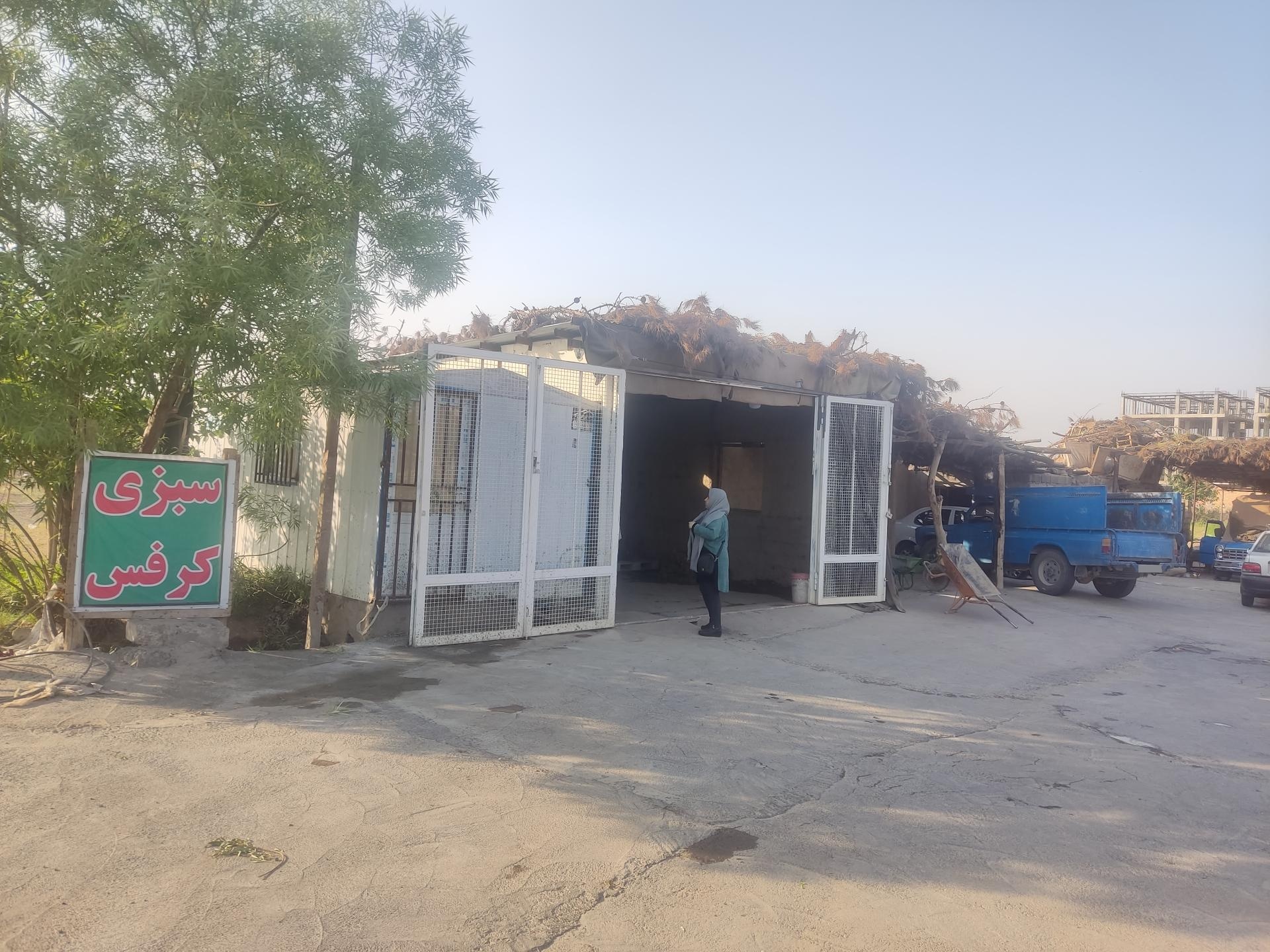 عکس فروشگاه سبزیجات 