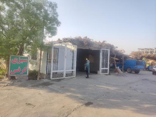 عکس فروشگاه سبزیجات 