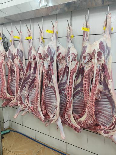 عکس سوپر گوشت صدف