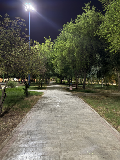 پارک پیل پا | 72 تن