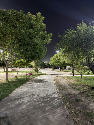 پارک پیل پا | 72 تن