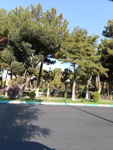 عکس میدان اسبی